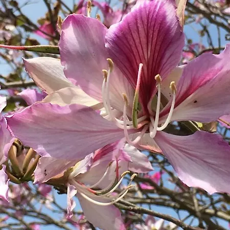 Schloss Appartamento